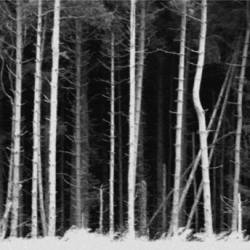 The Water Witch : The Heavens in Traction